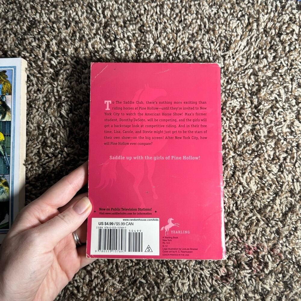 3rd Grade Chapter Book Bundle - Picture 7 of 10